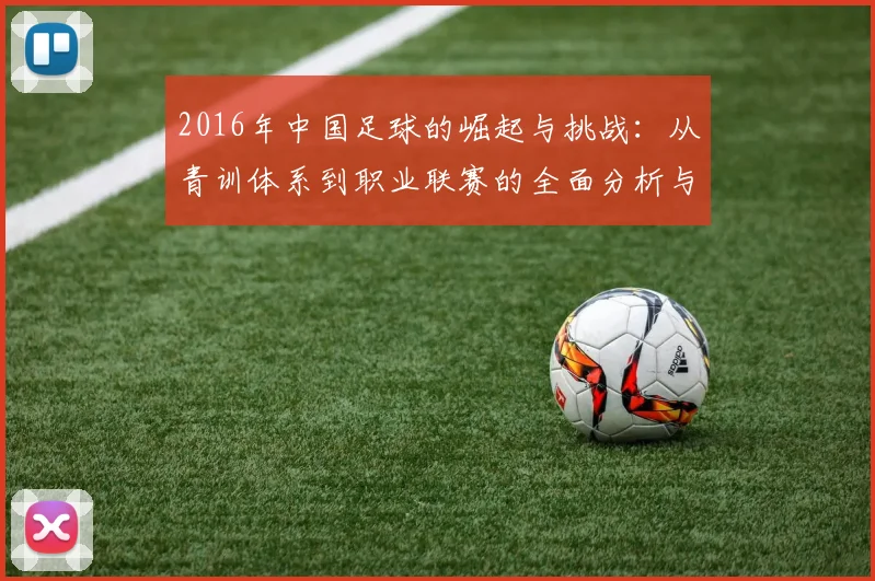 2016年中国足球的崛起与挑战:从青训体系到职业联赛的全面分析与展望