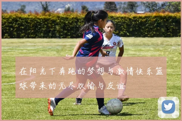 在阳光下奔跑的梦想与激情快乐篮球带来的无尽欢愉与友谊