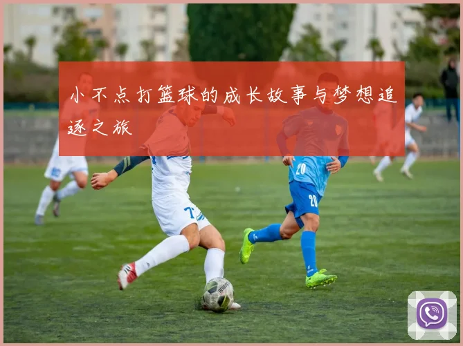 小不点打篮球的成长故事与梦想追逐之旅