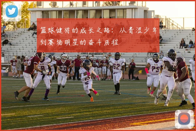 篮球健将的成长之路：从青涩少年到赛场明星的奋斗历程